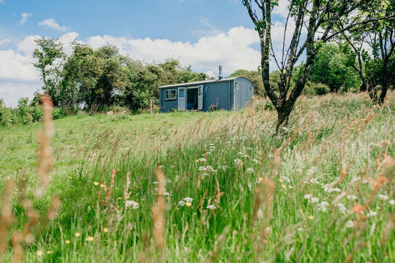 Blatchford Briar - Award Winning Private Shephards Huts With Their Own Secluded Hot Tubs Milton Abbot Exteriér fotografie